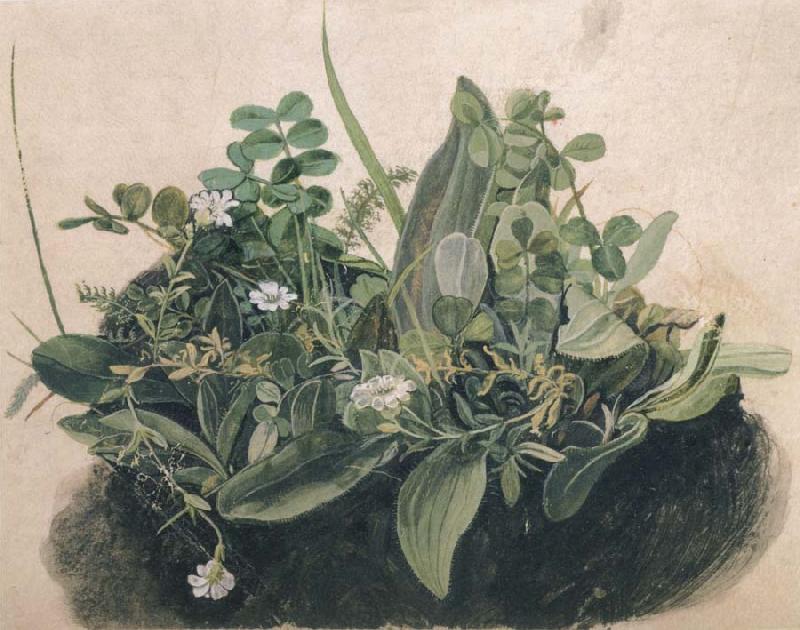 unknow artist Small Clump of Wayside Plants oil painting image